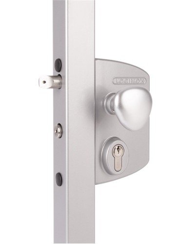 LIKQ4040 U2L (цвет: RAL 9005, черный). Замок электромеханический для калиток. Locinox в Тольятти
