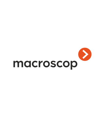 Расширение с LS до ST. Программное обеспечение (опция). MACROSCOP в Тольятти