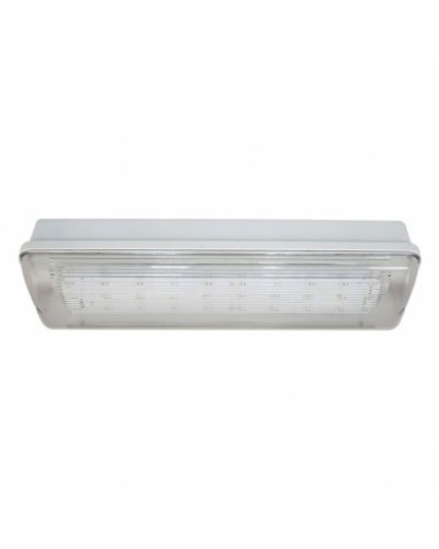 SL-223-30LED1.8 исп.1 IP54. Светильник аварийного освещения. ИП Раченков А.В. в Тольятти